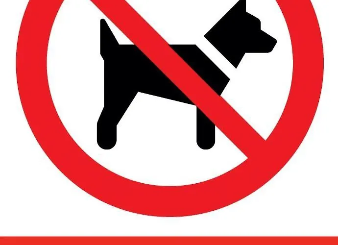 15 Pietro Sokolska 30 Towers - New - Lux - Parking - Sauna - Gym- And The View In Apartmán *